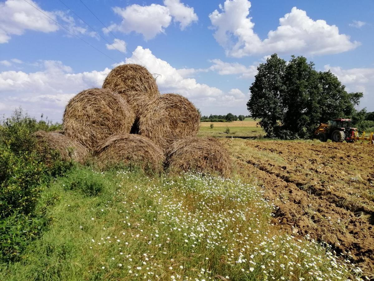Hotel Rural Lajafriz Fornillos de Aliste Luaran gambar